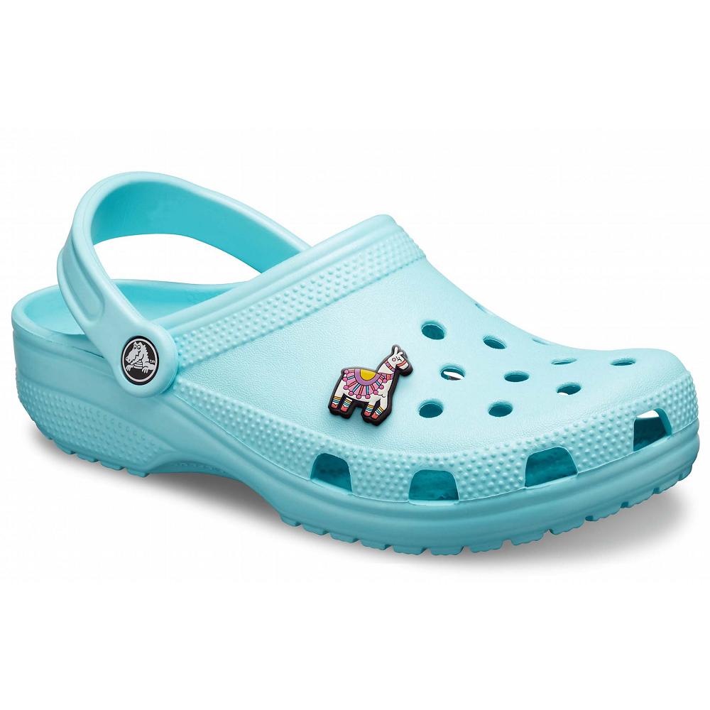 Turquoise Women's Crocs Classic Shoes Clogs | NZ 0016HAPK